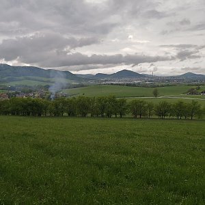 Krvelačné ňuf na vrcholu Hukvaldy - hradní vrch (13.5.2021 17:43)