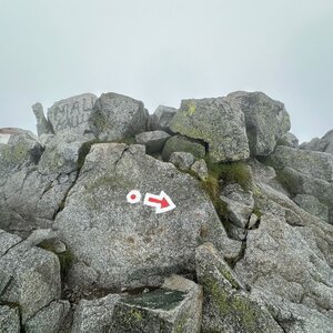 akam on the summit of Svinica (2.7.2024 13:39)