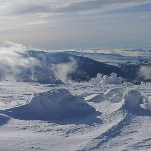 Matka Čúza na vrcholu Králický Sněžník (20.1.2021 10:32)