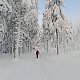 Matka Čúza na vrcholu Králický Sněžník (20.1.2021 10:32)