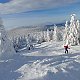 Matka Čúza na vrcholu Králický Sněžník (20.1.2021 10:32)