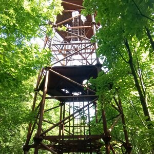 Stanlynka90 on the summit of Jelenec (26.7.2024 12:27)