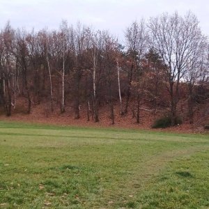 PA!WELL na vrcholu Kateřinský vrch (7.12.2024 15:00)