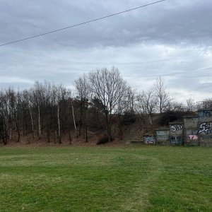 Betička na vrcholu Kateřinský vrch (30.3.2025 14:15)