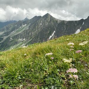 akam na vrcholu Hrubá kopa (30.6.2024 15:37)