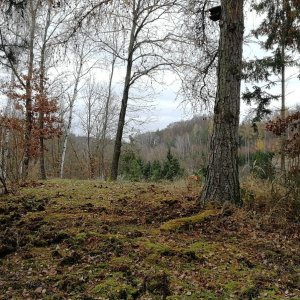 Vladimír Grančay na vrcholu Božešice (22.11.2025 12:25)