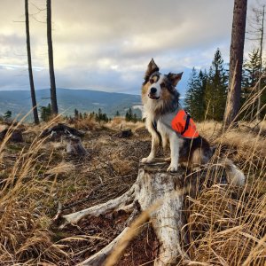 Jiří Králík on the summit of Velký polom (7.12.2025 14:53)