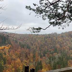 Mertelici na tripu na vrcholu Nad Koňským spádem (22.10.2022 12:43)