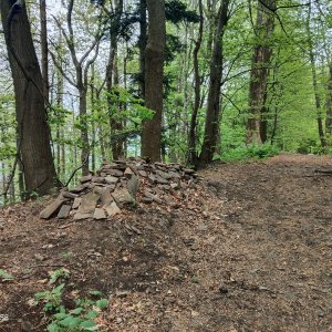 Zdena Trommler na vrcholu Červený kámen (9.5.2026 14:58)