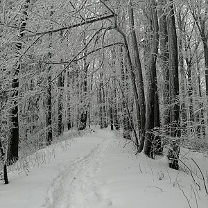 Zdeňka Máchová na vrcholu Červený kámen (16.1.2021 12:00)
