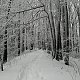 Zdeňka Máchová na vrcholu Červený kámen (16.1.2021 12:00)