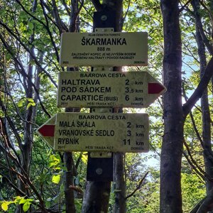 Horalka Anička na vrcholu Škarmanka (18.7.2024 9:02)
