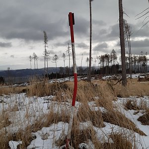 Podorlická pahorkatina