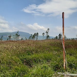 ZdenkaV na vrcholu Končina (16.7.2021 11:27)