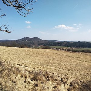 Badger on the summit of Vladař (26.3.2022 15:00)