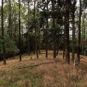 Bouřka na vrcholu Těchovín (10.9.2022 16:27)