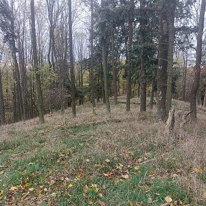 Cyklista 73 na vrcholu Těchovín (26.10.2022 11:24)