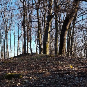 Cyklista 73 na vrcholu Jezvinec (18.3.2025 7:34)