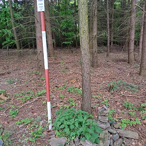 Horalka Anička na vrcholu Maleník (14.5.2023)