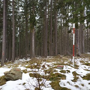 Petra na vrcholu Klenovec (8.3.2021 15:15)