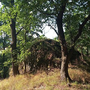 VěrkaN na vrcholu Chotovický vrch (28.7.2022 16:35)