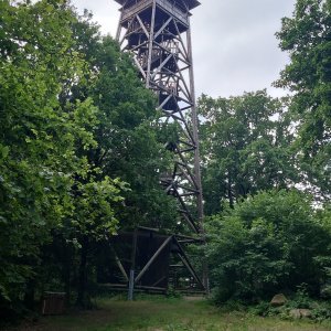 Nojby na vrcholu Svobodná hora (28.7.2025 10:19)