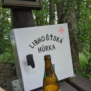Iva Purmenská on the summit of Libhošťská hůrka (18.5.2024 15:15)