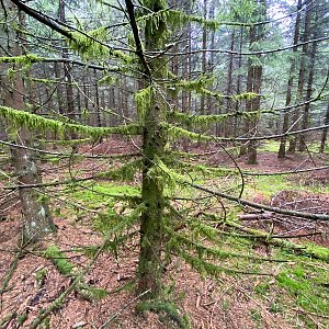 Martin Matějka na vrcholu Počátecký vrch (27.8.2022 13:11)