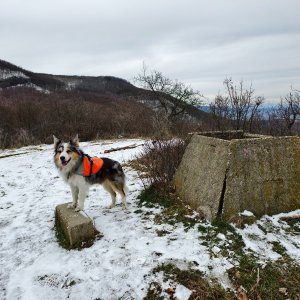 Jiří Králík on the summit of Vadász les (2.1.2026 11:57)