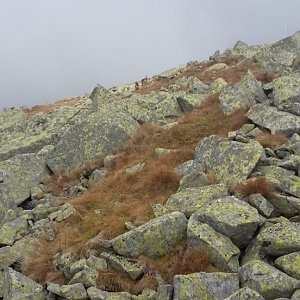 Nízké Tatry