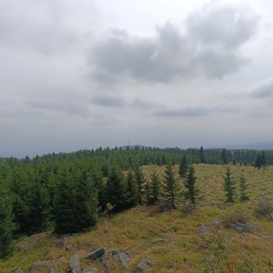 Vlados on the summit of Medvědí skála (16.8.2025 14:30)