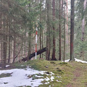 Cyklista 73 on the summit of Volovický vrch (17.4.2023 12:35)