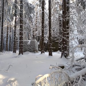 Eliška na vrcholu Adam (21.1.2022 13:45)