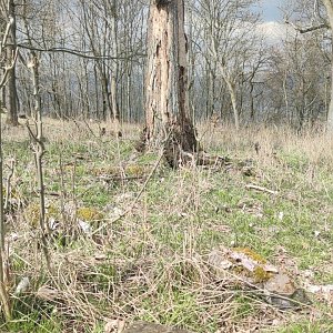 HaKalík na vrcholu Černý vrch (9.4.2023 14:12)