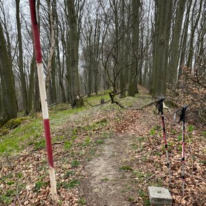Radka D na vrcholu Holý kopec (30.3.2024 13:28)