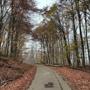 Alexandr Starý na vrcholu Holý kopec (17.11.2024 16:00)