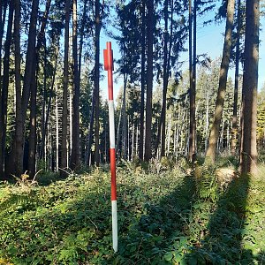 ZdenkaV na vrcholu Žár (12.10.2022 9:47)