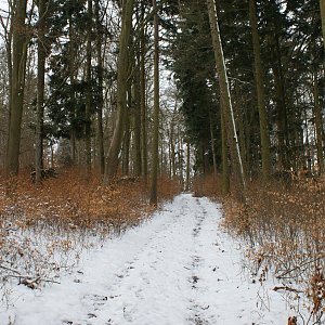 Švihovská vrchovina