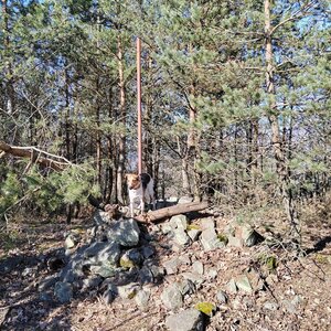 Figgo na vrcholu Velký Bítov (9.3.2024 10:25)