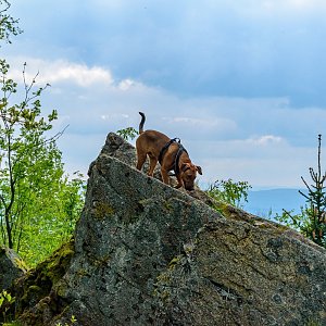David Paloch na vrcholu Humrich (30.5.2021 16:15)