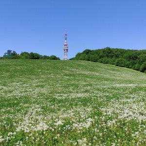 Radek xxx na vrcholu Babí lom (2.5.2025 10:34)