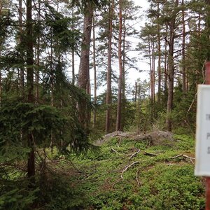 Bouřka na vrcholu Uhřice (26.4.2024 16:56)