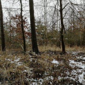 Vladimír Grančay na vrcholu U zastávky SZ (21.1.2026 9:56)