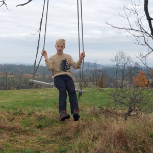 Kaktus na vrcholu Bedřichova hora (28.10.2024 12:19)
