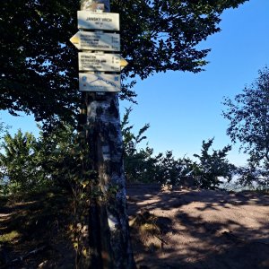 Roman Skácel on the summit of Janský vrch (24.8.2025 8:25)