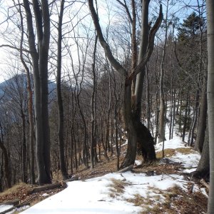 Rastislav Biarinec na vrcholu Brdce SSZ (25.3.2020 12:52)