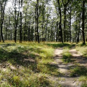 Vladimír Grančay na vrcholu Přední kout (20.8.2023 10:17)