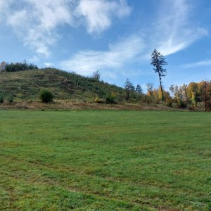 Mykas na vrcholu Kozinec (10.10.2025 12:07)