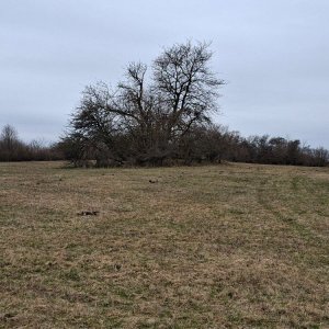 HBPE na vrcholu Kozinec (4.4.2026 10:05)