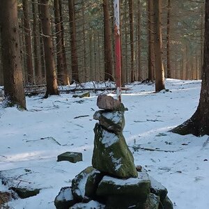 Milda on the summit of Tree (20.1.2024 13:50)